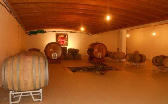 Agriturismo Terra Di Vento Montecorvino Pugliano Ngoại thất bức ảnh